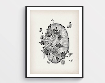 Kidney Anatomy Art Medical Art Science Art Abdomen Art Surgeon Gift Nephrologist Gift Urologist Gift Doctor Office Decor