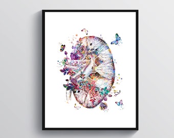 Watercolor Kidney Art Anatomy Artwork Nephrologist Gift Medical Art Surgeon Gift Physiology Art Science Art Doctor Office Decoration