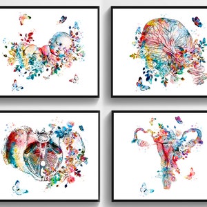4 Midwife Gift Obgyn Artwork Watercolor Medical Art Obstetrician Gift Pregnancy Art Fetus Art Pelvic Floor Art Placenta Art Uterus Art