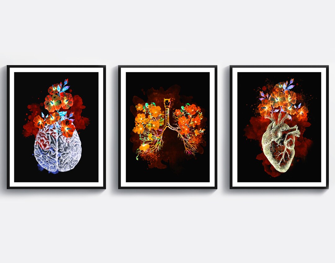 3 Anatomy Art Watercolor Medical Decor Human Brain Artwork Anatomical ...