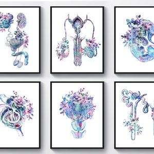 6 Male Urinary System Anatomy Art Watercolor Kidney Art Glomerulus Art Nephron Art Nephrologist Gift Urologist Gift Medical Office Decor