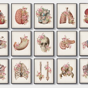 15 Vintage Anatomy Art Floral Art Physiology Poster Medical Painting Doctor Office Gift Surgical Anatomy Wall Decor for Medical Center
