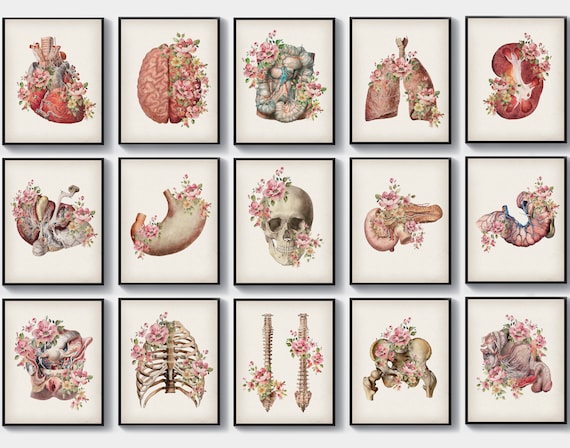15 Vintage Anatomy Art Floral Art Physiology Poster Medical - Etsy