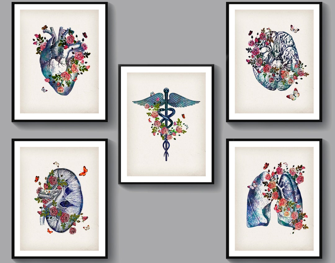 5 Gift for Doctor Medical Art Nurse Graduation Anatomy Decor Anatomical ...