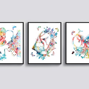 3 ilustraciones de gestación, arte del embarazo, regalo de partera, póster de desarrollo fetal, arte de procreación, arte de engendramiento, arte de bebé en el útero, idea de regalo para embarazadas