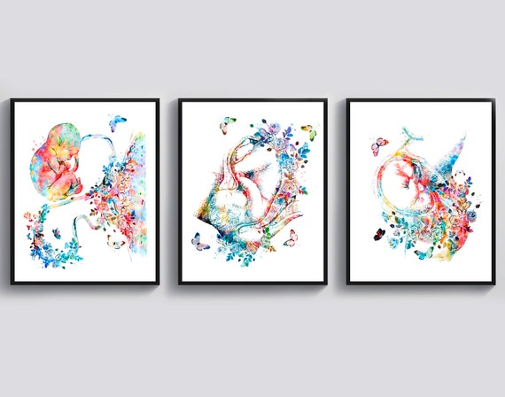 3 Gestation Artwork Pregnancy Art Midwife Gift Fetal Development Poster Procreation Art Begetting Art Baby in Womb Art Pregnant Gift Idea