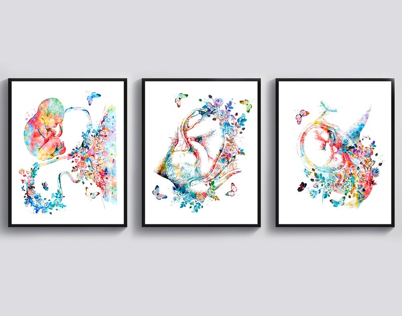 3 Gestation Artwork Pregnancy Art Midwife Gift Fetal Development Poster ...