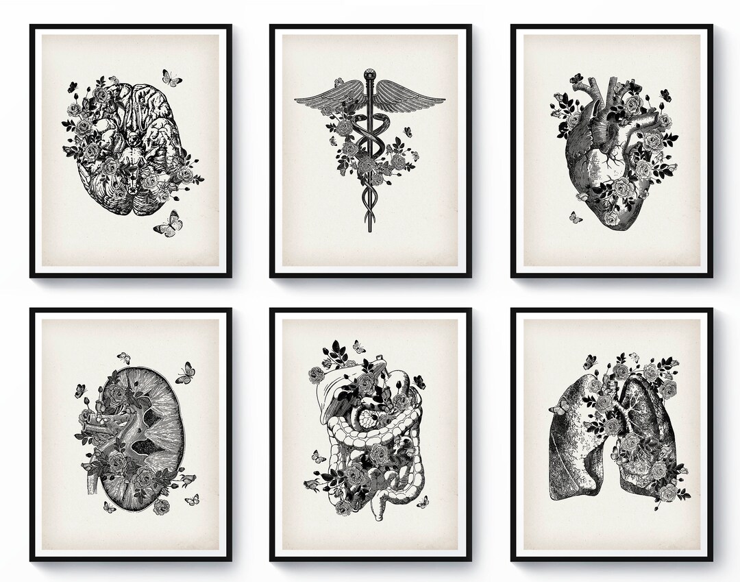 Set 6 Anatomy Art Doctor Office Gift Nurse Gift Clinic Wall Decor ...