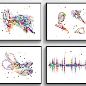 4 Audiologist Gift Hearing System Anatomy Art Watercolor Medical Artwork Inner Ear Art Cochlea Art Ossicles Art Ear Doctor Gift