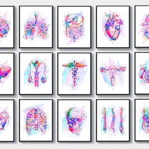 15 Aquarell Anatomische Kunst Physiologie Kunst Medizinische Kunst Caduceus Kunst Doktor Abschlussgeschenk Krankenschwester Geschenk Studentengeschenk Klinik Dekor Med Bürokunst