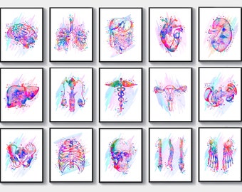 15 Watercolor Anatomy Art Physiology Art Medical Art Caduceus Art Doctor Graduation Gift Nurse Gift Student Gift Clinic Decor Med Office Art