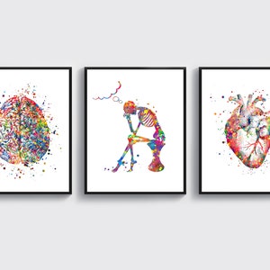 Może przedstawiać: Trzy akwarelowe ilustracje anatomiczne w czarnych ramach. Pierwsza przedstawia kolorowy ludzki mózg, druga przedstawia kolorowy ludzki szkielet siedzący z głową w dłoniach, a trzecia przedstawia kolorowe ludzkie serce.