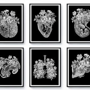 Conjunto de arte de anatomia em preto e branco com 6 desenhos florais, pôster médico, cérebro anatômico humano, coração, rim, pulmão, fígado, presente para consultório médico para impressão