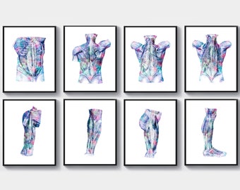 May include: A set of eight framed anatomical illustrations of the human body. The illustrations are in a watercolour style with a vibrant colour palette of pink, blue, and purple. The illustrations depict the muscles of the torso, back, arms, and legs.