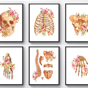 Può includere: Sei illustrazioni ad acquerello di ossa umane con fiori rosa e gialli. Le ossa includono un cranio, una gabbia toracica, un bacino, una colonna vertebrale, un piede e una mano.