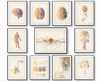 Conjunto 11 Arte de neurociencia Arte de neurología Arte de anatomía cerebral Arte médico Póster del sistema nervioso Arte de neuronas Regalo de neurólogo Regalo de neurocientífico