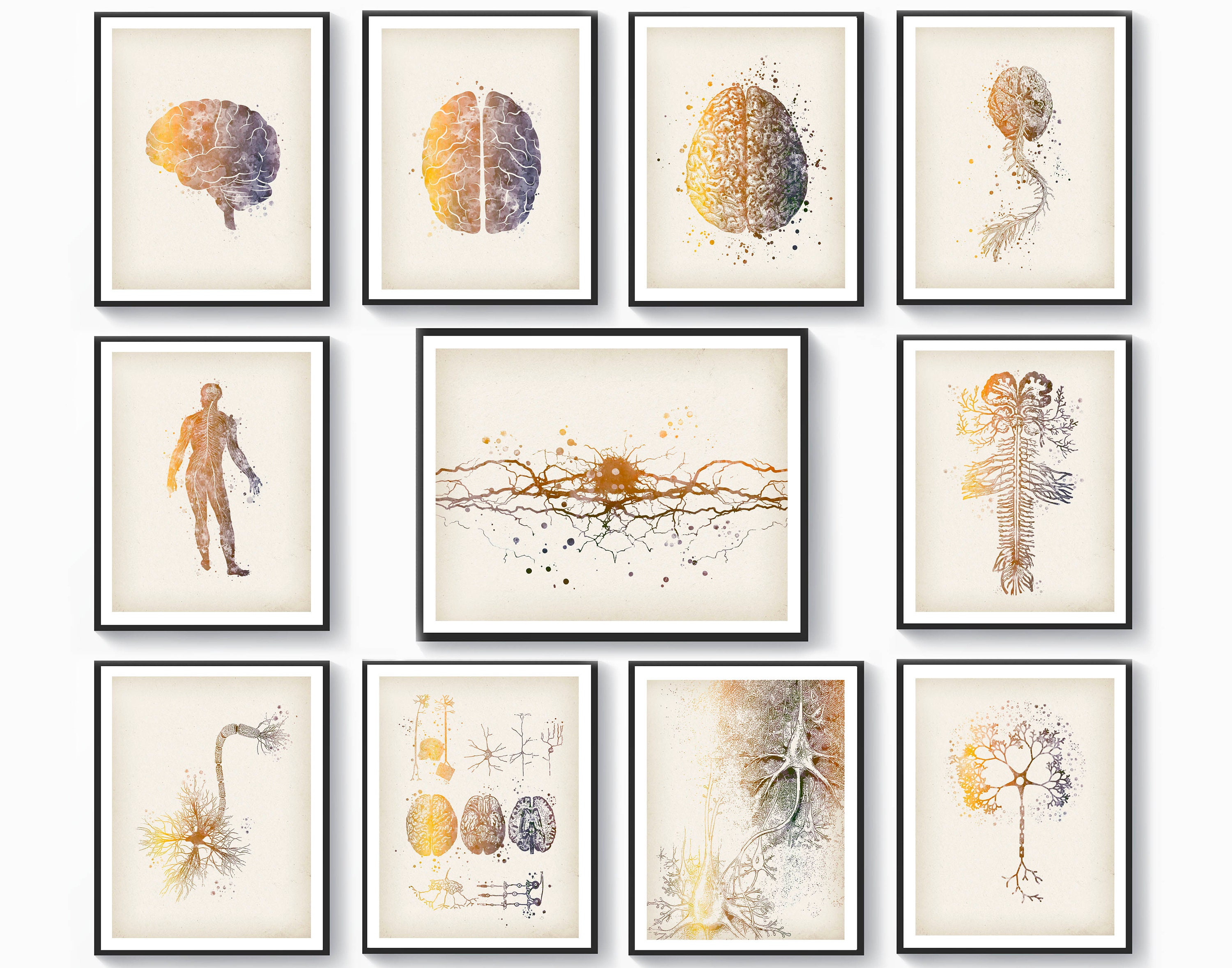 Set 11 Neuroscience Art Neurology Art Brain Anatomy Art Medical Art ...