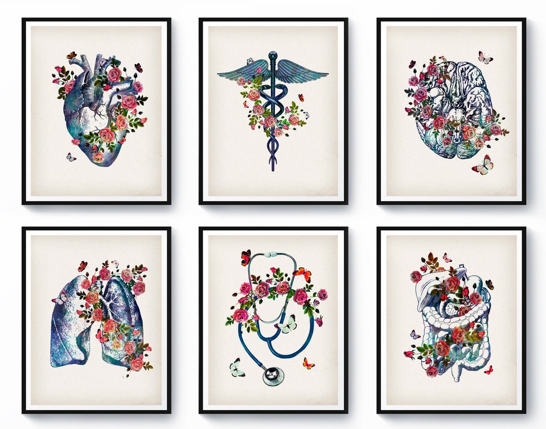 6 Vintage Anatomy Art Anatomical Heart Lungs Brain Poster Caduceus Art ...