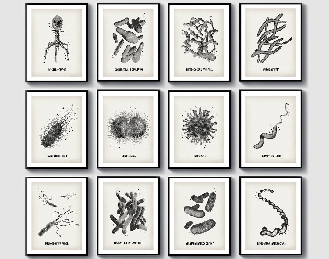 12 Bacteria Types Posters Vintage Microbiology Art Science Art Medical