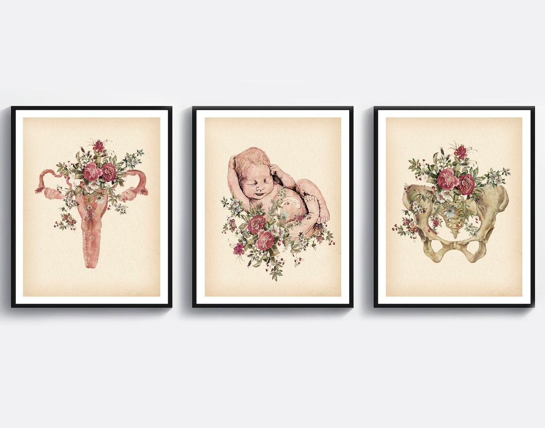 3 Vintage Childbirth Art Obgyn Poster Baby Drawing Fetus Art Newborn ...