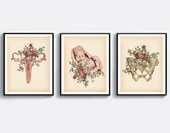 油絵　胎児 3 ヴィンテージ出産アート 産婦人科ポスター 赤ちゃんの絵 胎児アート