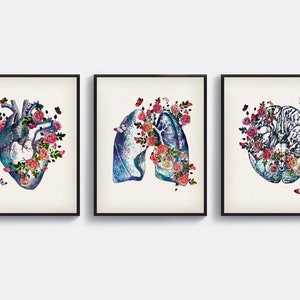 3 vintage anatomie kunst medische kunst orgel en rozen kunst anatomische hart bloemen longen hersenen kunst arts afstuderen verpleegkundige cadeau kliniek muur decor