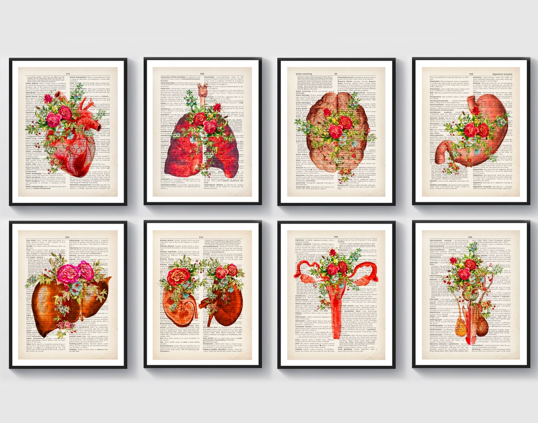 Watercolor Anatomy Set of 8 Human Organs Artwork Medical Art Dictionary ...