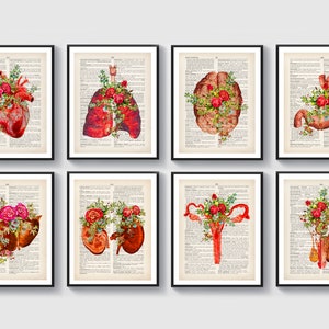 Watercolor Anatomy Set of 8 Human Organs Artwork Medical Art Dictionary Painting Doctor Office Decor Physical Therapist Gift Surgeon Gift