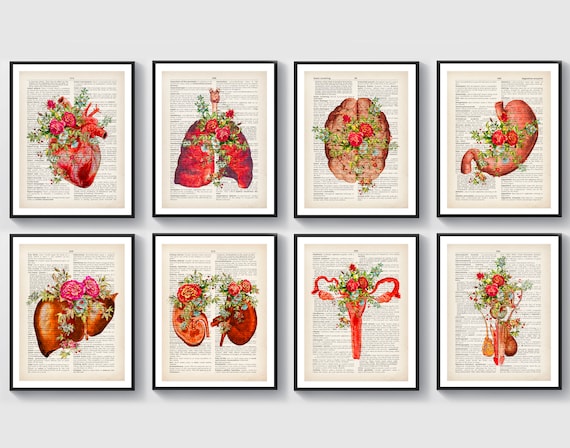 Watercolor Anatomy Set of 8 Human Organs Artwork Medical Art | Etsy