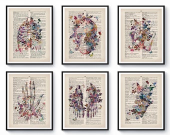 Vintage Anatomy Set, Watercolor Anatomy Art,Skeleton Bones Drawing, Dictionary Page Decor, Medical Art, Chiropractic Clinic Art, Doctor Art