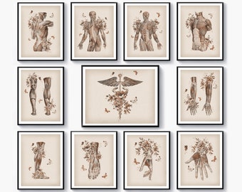 Massageterapeut, gåva, vintage anatomikonst, blommig muskelposter, caduceuskonst, medicinsk konst, massageklinik, väggkonst, fysioterapeut