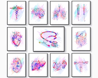 11 Docteur Cadeau Aquarelle Anatomie Peinture Art Médical Anatomique Coeur Art Cerveau Art Rein Art Stéthoscope Art Caducée Art Science Art