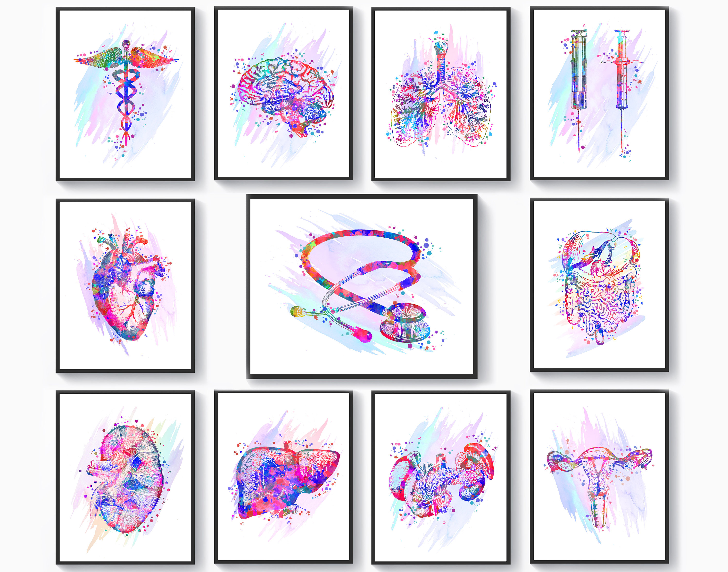 11 Watercolor Anatomy Art Medical Art Anatomical Heart Art Brain Art ...