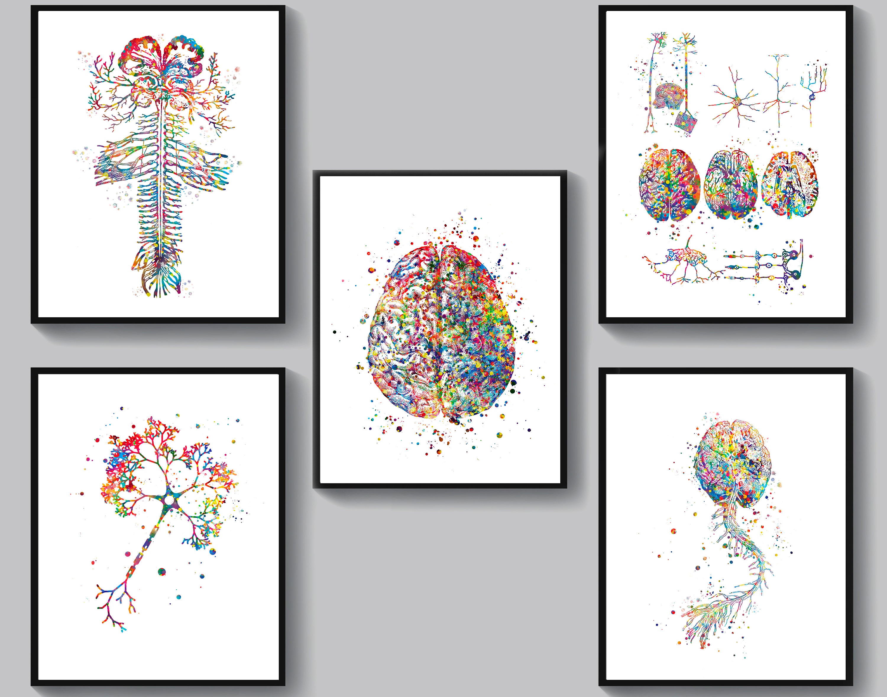 Neur Mural RIMURA Neuroscience Art Neurology Poster Anatomical Brain Nervous Cell ...