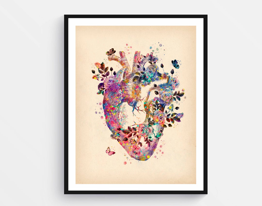 Anatomical Heart Print Vintage Anatomy Art Medical Artwork Cardiologist ...