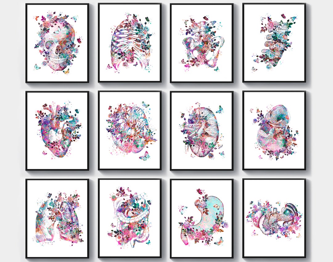 12 Medical Decor Watercolor Anatomy Art Doctor Office Gift Human Organ ...