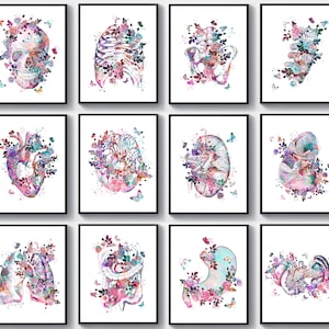12 medische decor aquarel anatomie kunst dokter kantoor cadeau menselijk orgel kunst anatomische hersenen hart nier lever longen artwork kliniek decor