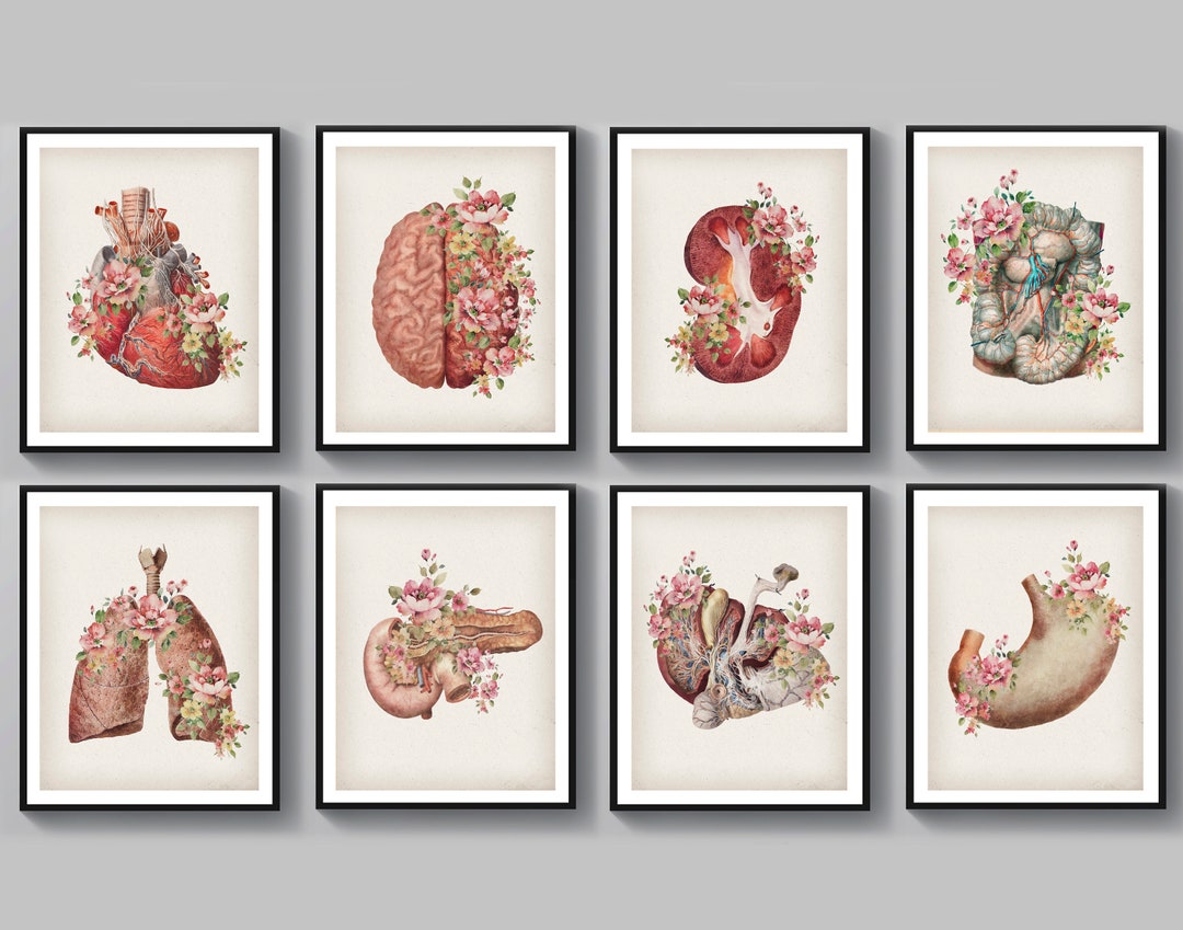 8 Floral Anatomy Art Watercolor Medical Decor Human Brain - Etsy