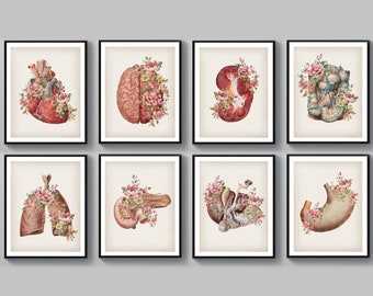 Internal Organs Human Anatomy Art Posters Anatomical Heart Lungs Kidney ...