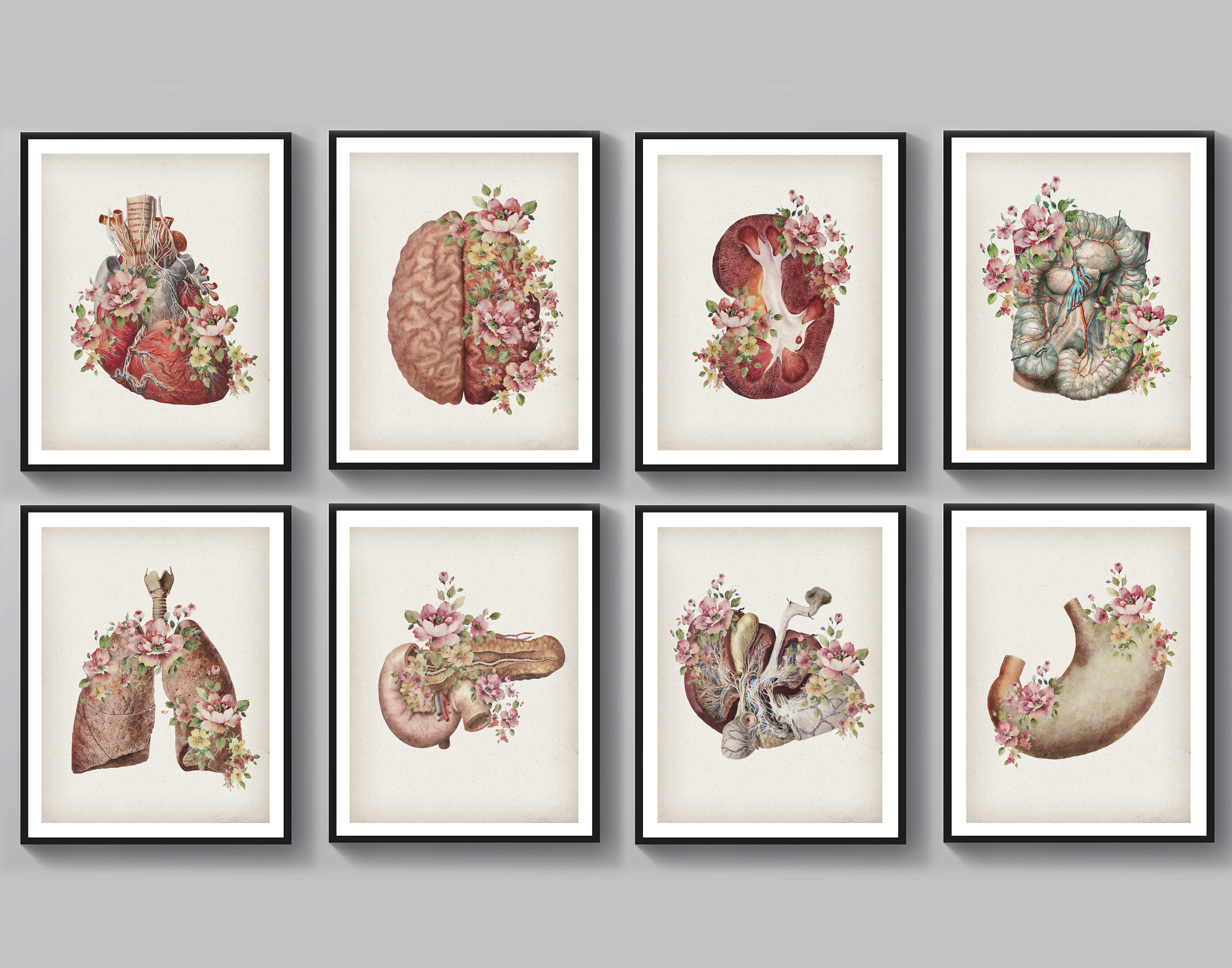 8 Floral Anatomy Art Watercolor Medical Decor Human Brain - Etsy