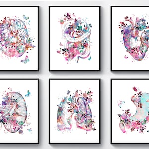 Set 6 Watercolor Anatomy Art Anatomical Organ Drawing Medical Decor Human Anatomical Brain Heart Kidney Stomach Lungs Digestive System Art