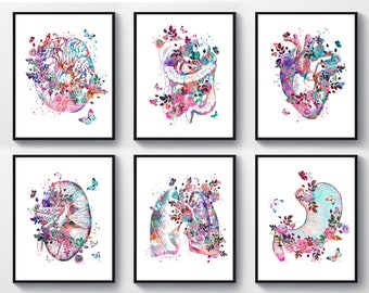 腎臓モチーフ細胞アート 原画 キャンバス 生物学×アート インテリア セット6 水彩解剖学アート 解剖学的臓器の描画 医療装飾 人体解剖学 脳