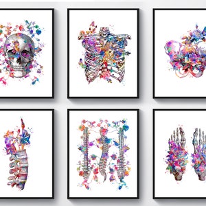 May include: Six watercolor illustrations of human bones with floral accents. The illustrations include a skull, rib cage, pelvis, spine, and two feet.