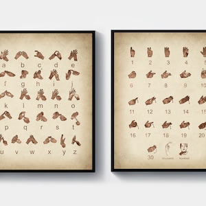 Auslan Art Auslan Alphabet Auslan Counting Fingerspelling Wall Decor Auslan Educational Poster Auslan Teaching Drawing Teacher Gift