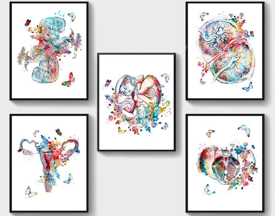 5 Watercolor Obgyn Art Twins Babies Artwork Midwife Gift Female ...