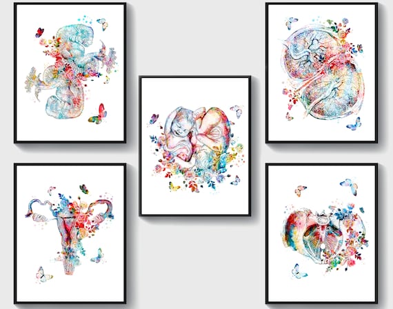 5 Watercolor Obgyn Art Twins Babies Artwork Midwife Gift - Etsy