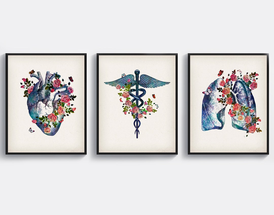 3 Vintage Medical Art Caduceus and Roses Art Anatomical Heart Poster ...