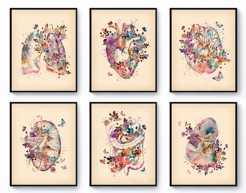 Uiujiij Kit Pittura A Numeri Per Adulti: Cuore Anatomico Floreale 40x50 Cm Su Tela Fai Da Te