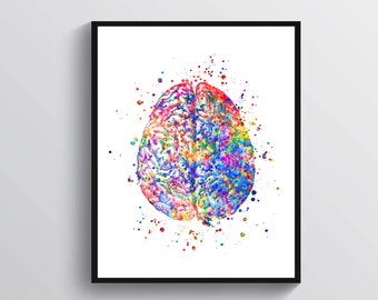 May include: A colorful watercolor painting of a human brain. The brain is depicted in a realistic style, with all of its intricate details. The colors are vibrant and bold, creating a striking and eye-catching image.