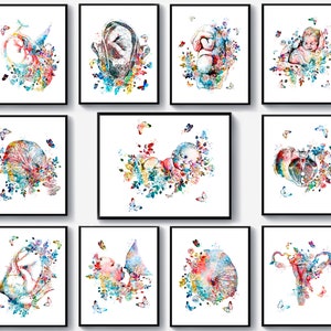 11 Geburtshilfe und Gynäkologie Kunst Obgyn Kunstwerk Fötusentwicklung Kunst Fötus im Mutterleib Kunst Weibliche Anatomie Kunst Hebamme Geschenk Baby-Dusche-Dekor